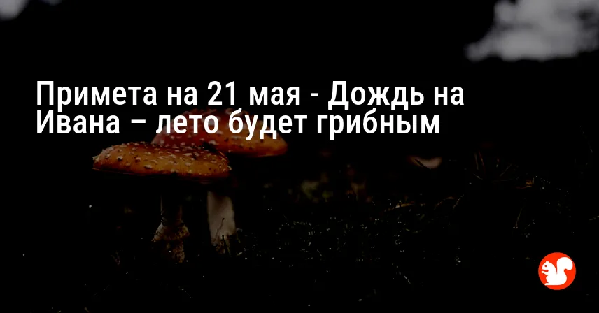 Примета на 21 мая — Дождь на Ивана – лето будет грибным