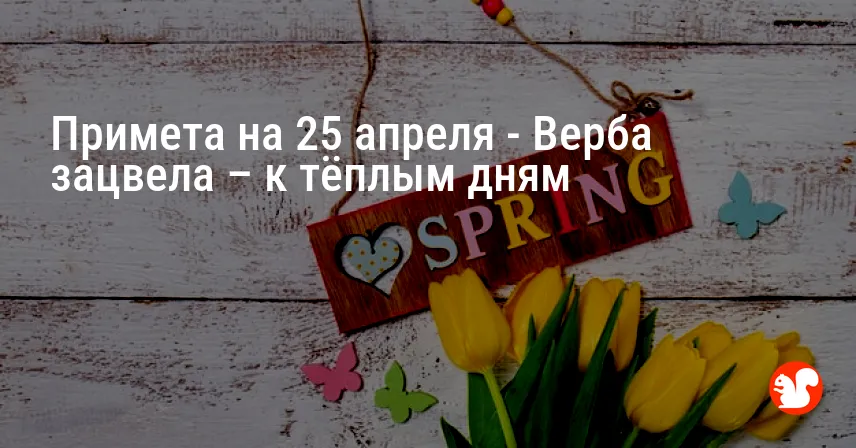 Примета на 25 апреля — Верба зацвела – к тёплым дням