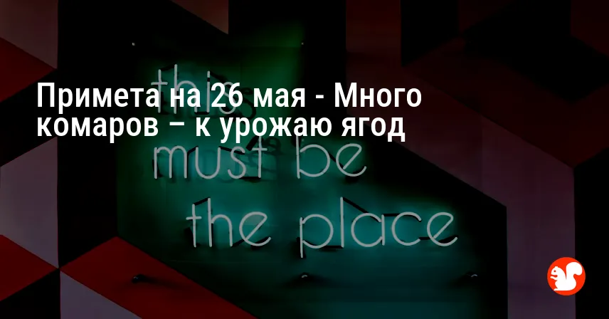 Примета на 26 мая — Много комаров – к урожаю ягод