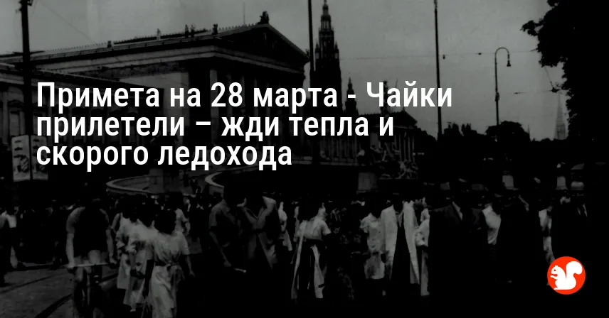 Примета на 28 марта — Чайки прилетели – жди тепла и скорого ледохода