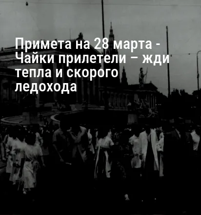 Примета на 28 марта — Чайки прилетели – жди тепла и скорого ледохода