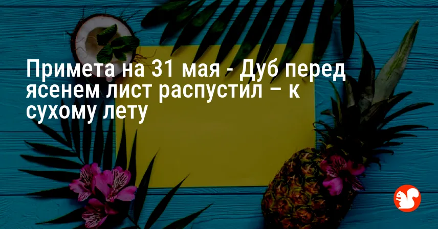 Примета на 31 мая — Дуб перед ясенем лист распустил – к сухому лету