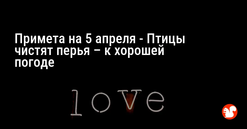 Примета на 5 апреля — Птицы чистят перья – к хорошей погоде