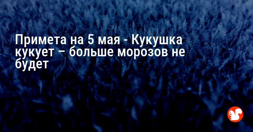 Примета на 5 мая — Кукушка кукует – больше морозов не будет