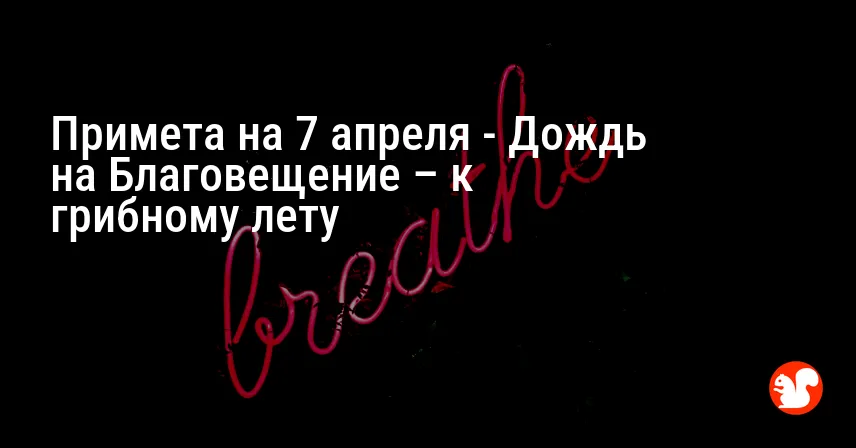 Примета на 7 апреля — Дождь на Благовещение – к грибному лету
