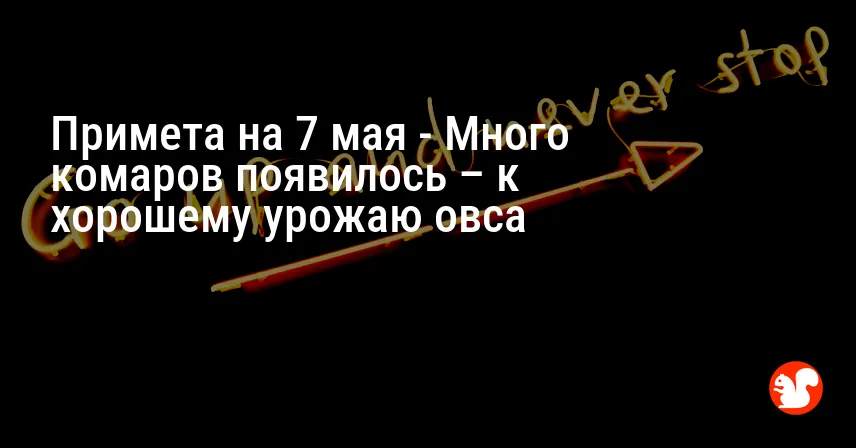 Примета на 7 мая — Много комаров появилось – к хорошему урожаю овса