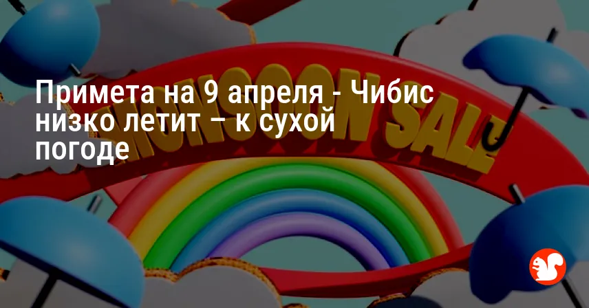 Примета на 9 апреля — Чибис низко летит – к сухой погоде