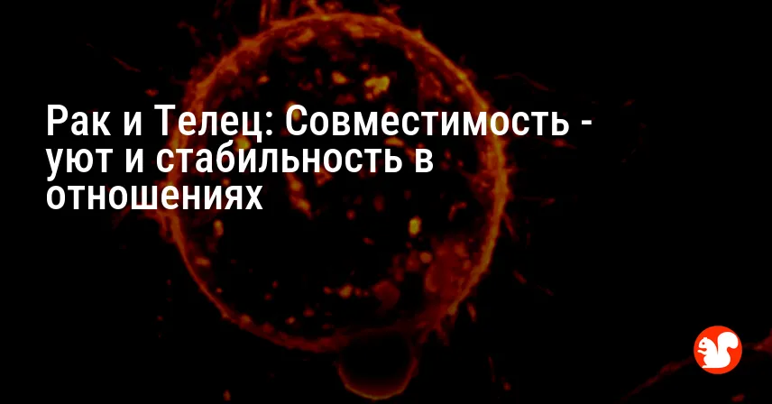 Рак и Телец: Совместимость — уют и стабильность в отношениях