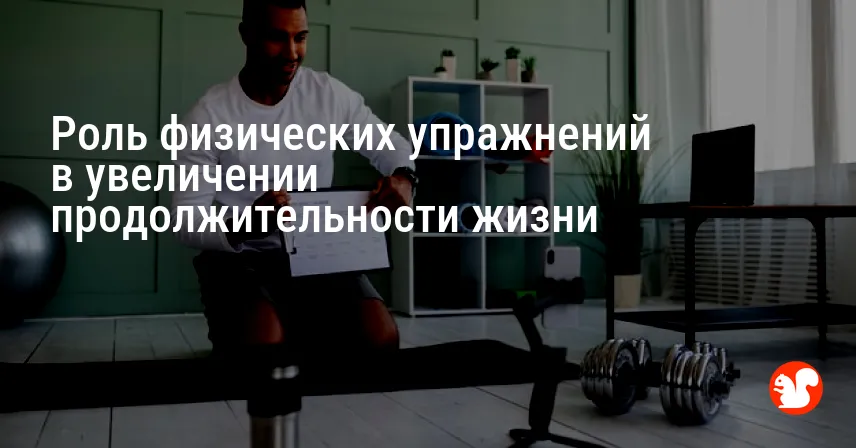 Роль физических упражнений в увеличении продолжительности жизни