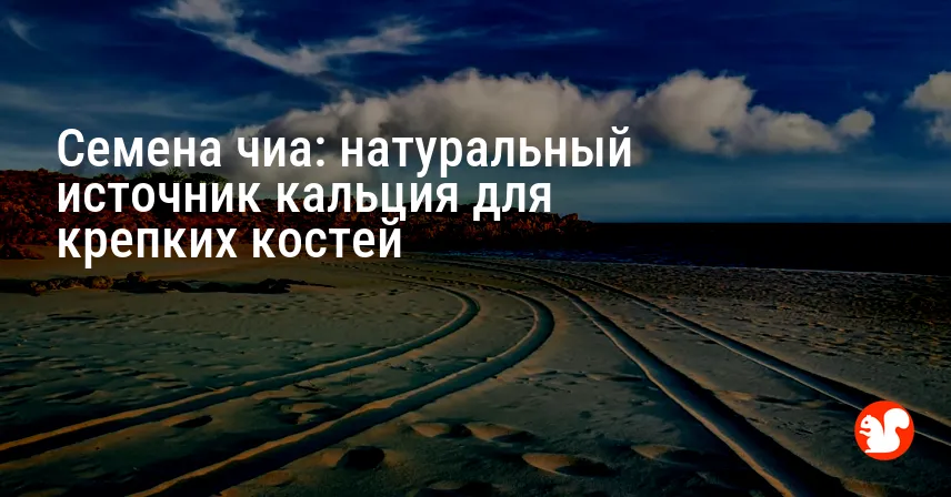 Семена чиа: натуральный источник кальция для крепких костей