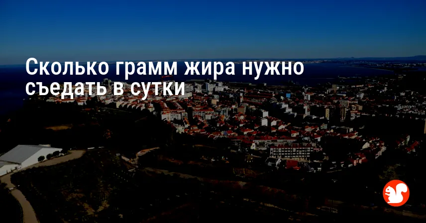 Сколько грамм жира нужно съедать в сутки