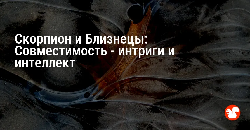 Скорпион и Близнецы: Совместимость — интриги и интеллект