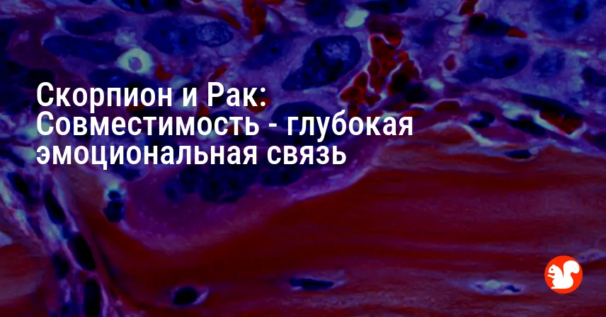 Скорпион и Рак: Совместимость — глубокая эмоциональная связь