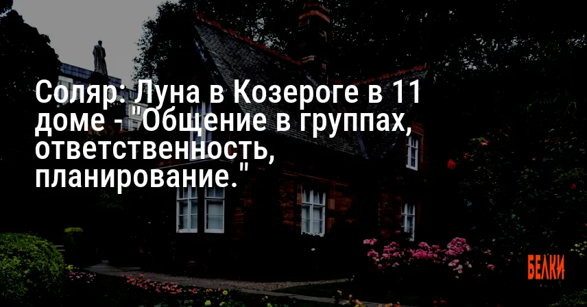Соляр: Луна в Козероге в 11 доме — «Общение в группах, ответственность, планирование.»