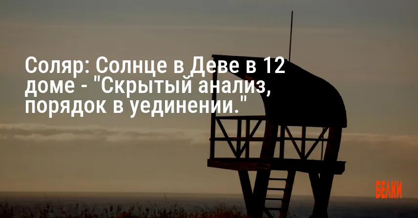 Соляр: Солнце в Деве в 12 доме — «Скрытый анализ, порядок в уединении.»