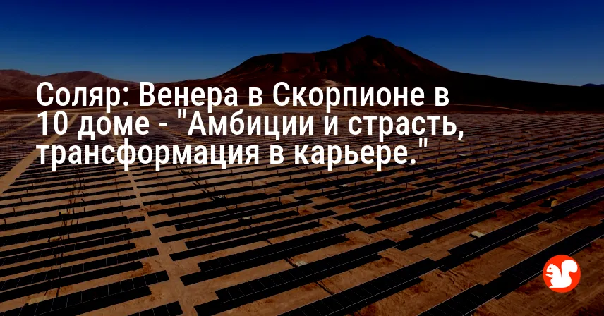 Соляр: Венера в Скорпионе в 10 доме — «Амбиции и страсть, трансформация в карьере.»
