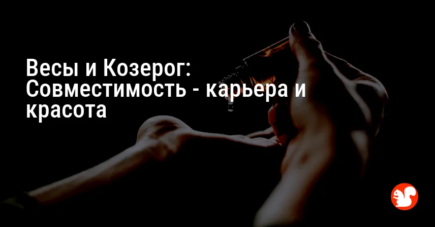 Весы и Козерог: Совместимость — карьера и красота