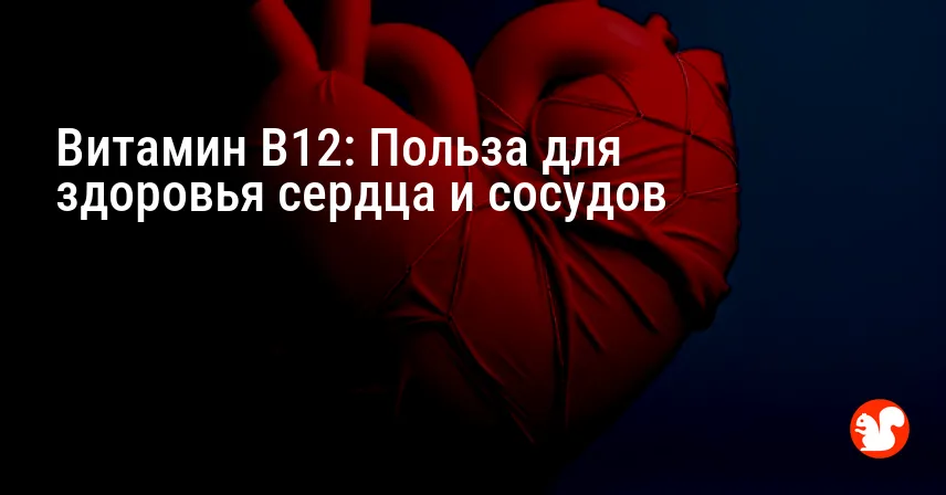Витамин B12: Польза для здоровья сердца и сосудов