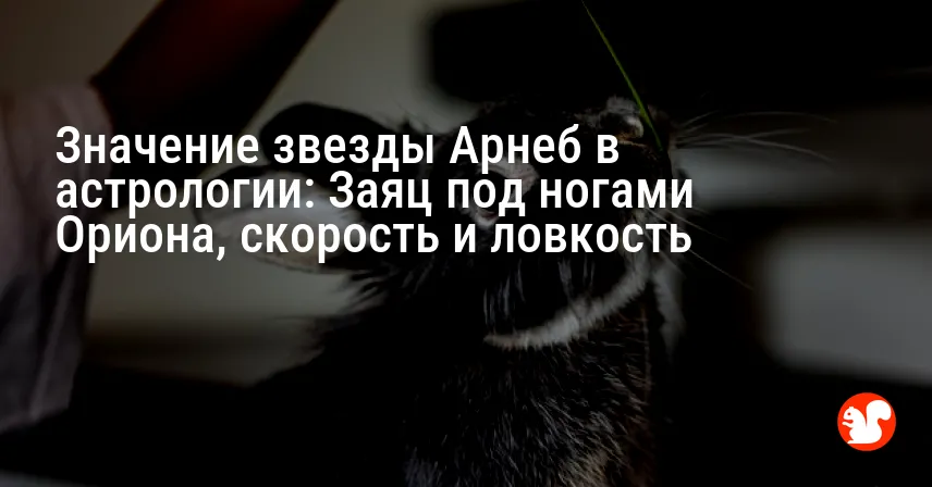 Значение звезды Арнеб в астрологии: Заяц под ногами Ориона, скорость и ловкость