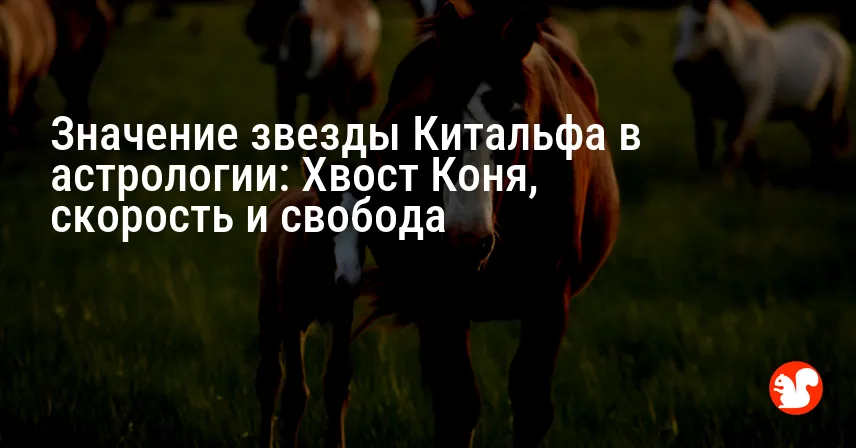 Значение звезды Китальфа в астрологии: Хвост Коня, скорость и свобода