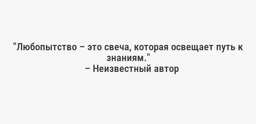 "Любопытство – это свеча, которая освещает путь к знаниям."
– Неизвестный автор