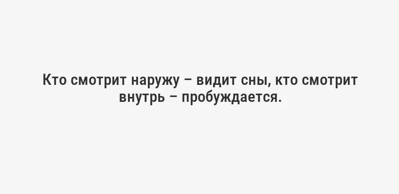 Кто смотрит наружу – видит сны, кто смотрит внутрь – пробуждается.