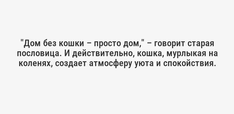 "Дом без кошки – просто дом," – говорит старая пословица. И действительно, кошка, мурлыкая на коленях, создает атмосферу уюта и спокойствия.