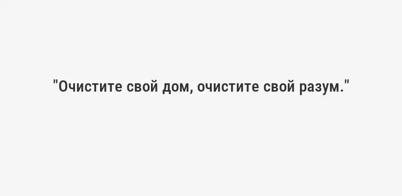 "Очистите свой дом, очистите свой разум."