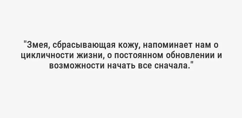 "Змея, сбрасывающая кожу, напоминает нам о цикличности жизни, о постоянном обновлении и возможности начать все сначала."