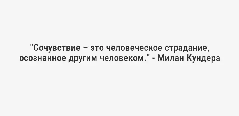 "Сочувствие – это человеческое страдание, осознанное другим человеком." - Милан Кундера