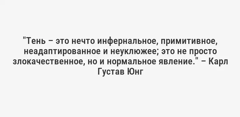 "Тень – это нечто инфернальное, примитивное, неадаптированное и неуклюжее; это не просто злокачественное, но и нормальное явление." – Карл Густав Юнг