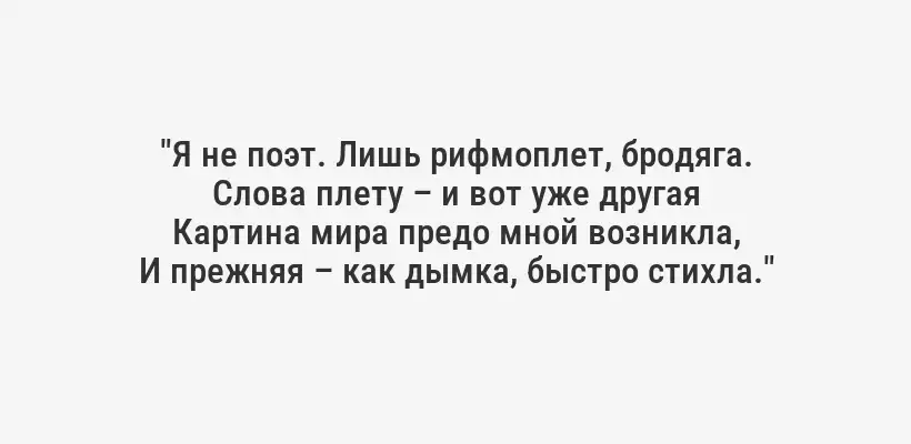 "Я не поэт. Лишь рифмоплет, бродяга.
Слова плету – и вот уже другая
Картина мира предо мной возникла,
И прежняя – как дымка, быстро стихла."