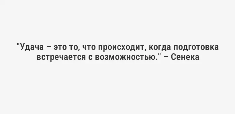 "Удача – это то, что происходит, когда подготовка встречается с возможностью." – Сенека