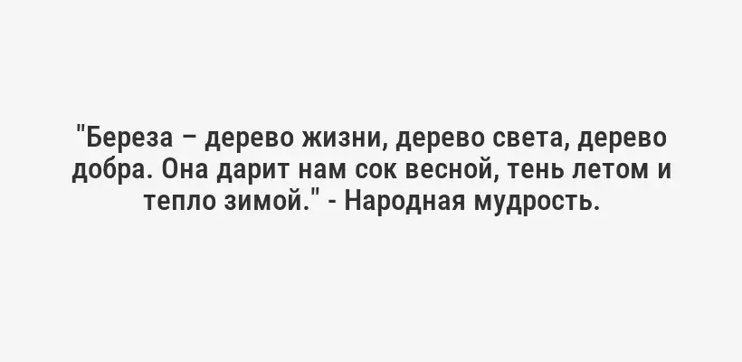 "Береза – дерево жизни, дерево света, дерево добра. Она дарит нам сок весной, тень летом и тепло зимой." - Народная мудрость.