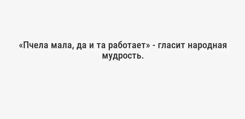 «Пчела мала, да и та работает» - гласит народная мудрость.
