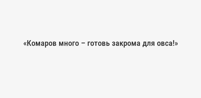 «Комаров много – готовь закрома для овса!»