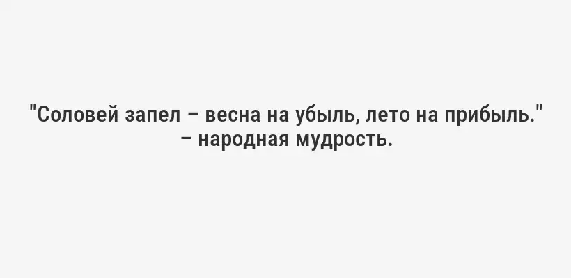 "Соловей запел – весна на убыль, лето на прибыль." – народная мудрость.