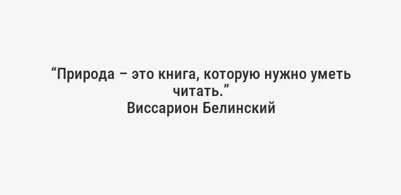 “Природа – это книга, которую нужно уметь читать.”
Виссарион Белинский