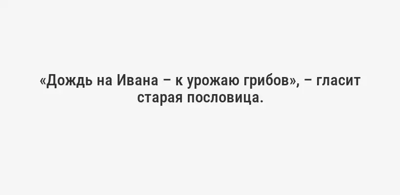 «Дождь на Ивана – к урожаю грибов», – гласит старая пословица.
