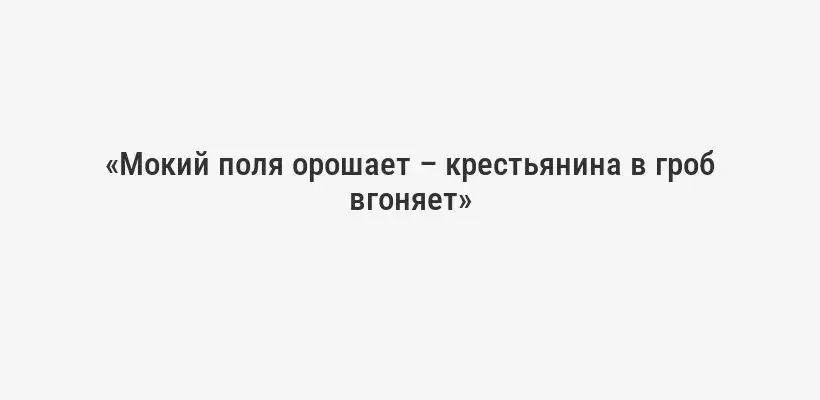 «Мокий поля орошает – крестьянина в гроб вгоняет»