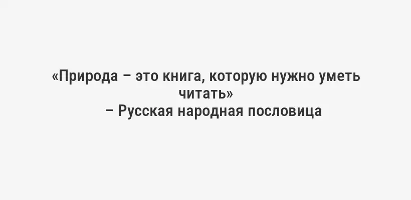 «Природа – это книга, которую нужно уметь читать»
– Русская народная пословица