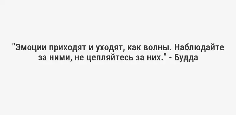 "Эмоции приходят и уходят, как волны. Наблюдайте за ними, не цепляйтесь за них." - Будда