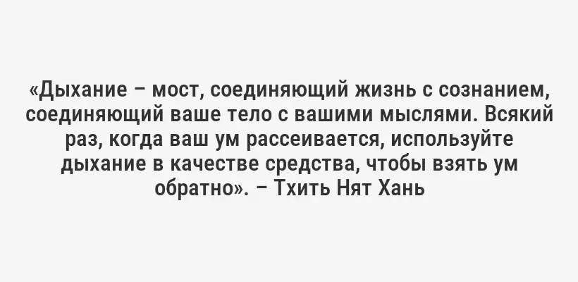 «Дыхание – мост, соединяющий жизнь с сознанием, соединяющий ваше тело с вашими мыслями. Всякий раз, когда ваш ум рассеивается, используйте дыхание в качестве средства, чтобы взять ум обратно». – Тхить Нят Хань