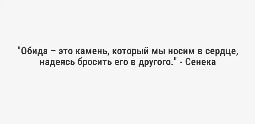 "Обида – это камень, который мы носим в сердце, надеясь бросить его в другого." - Сенека
