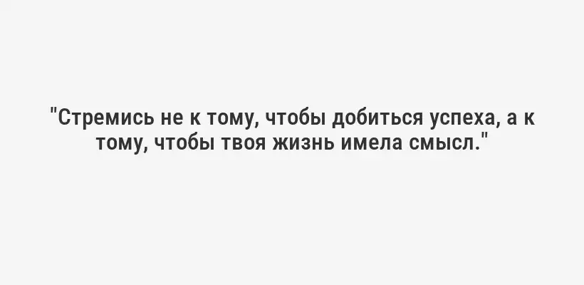 "Стремись не к тому, чтобы добиться успеха, а к тому, чтобы твоя жизнь имела смысл."
