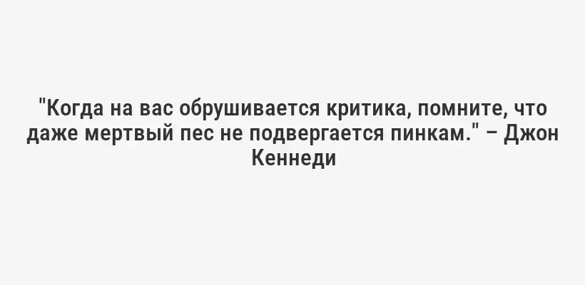 "Когда на вас обрушивается критика, помните, что даже мертвый пес не подвергается пинкам." – Джон Кеннеди
