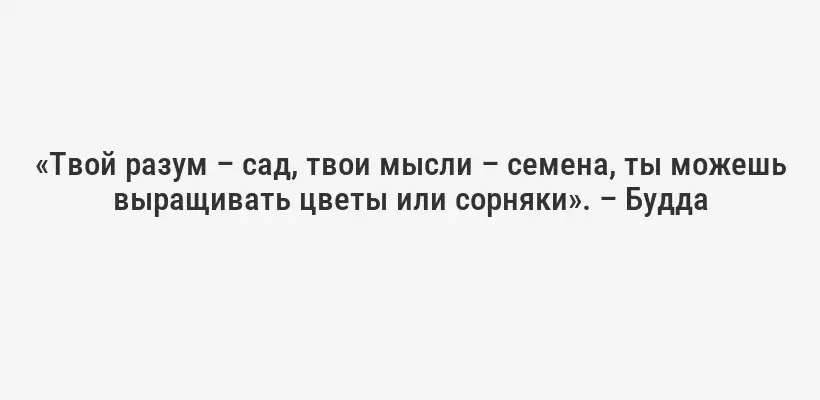 «Твой разум – сад, твои мысли – семена, ты можешь выращивать цветы или сорняки». – Будда