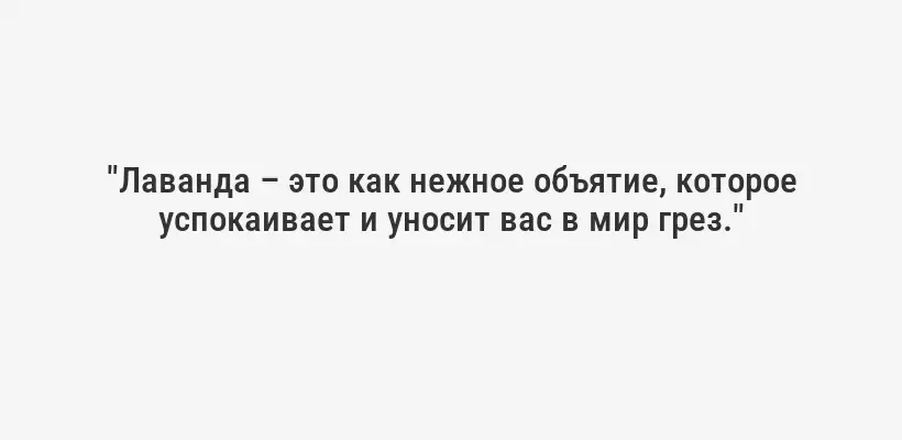 "Лаванда – это как нежное объятие, которое успокаивает и уносит вас в мир грез."