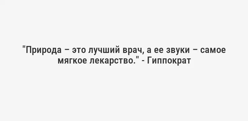 "Природа – это лучший врач, а ее звуки – самое мягкое лекарство." - Гиппократ