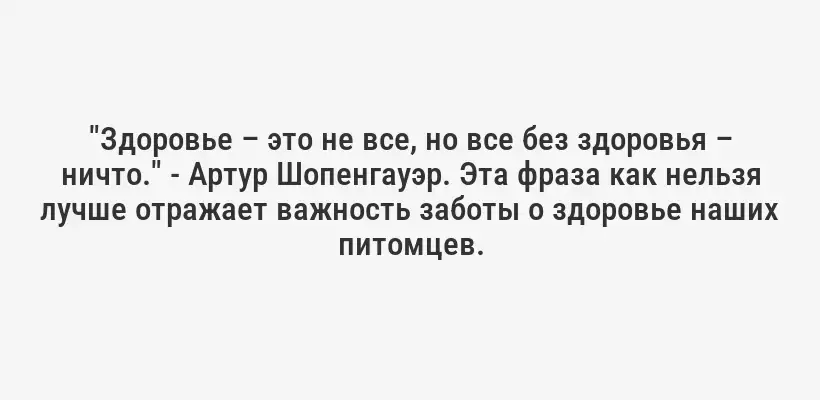 "Здоровье – это не все, но все без здоровья – ничто." - Артур Шопенгауэр. Эта фраза как нельзя лучше отражает важность заботы о здоровье наших питомцев.